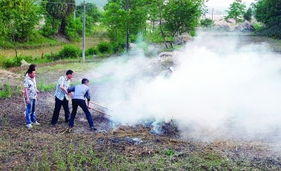 禁止焚烧秸秆，推动大气污染治理，守护生活环境